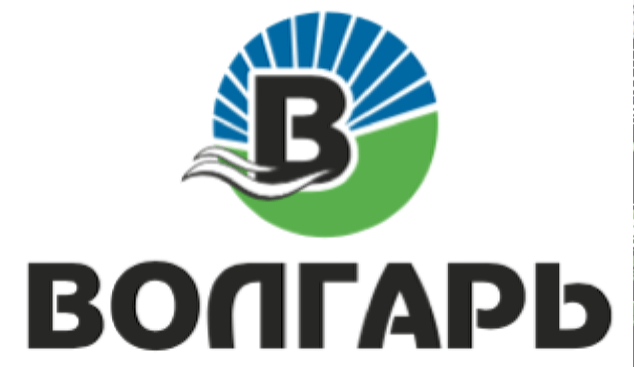 ВОЛГАРЬ - логотип 96